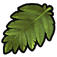 Fibrous frond icon.png