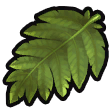 File:Fibrous frond icon.png