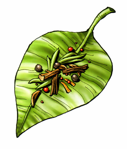 File:DQIV DS Medicinal Herb.png