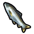 File:Sardine icon.png