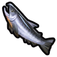 File:Salmon icon.png