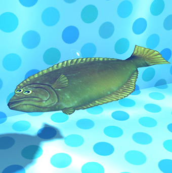 File:Flounder.jpg