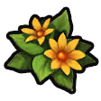 Daffodaisy icon.png