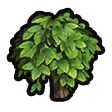 File:Plumberry sapling icon.png