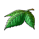 Yggdrasil leaf xi icon.png