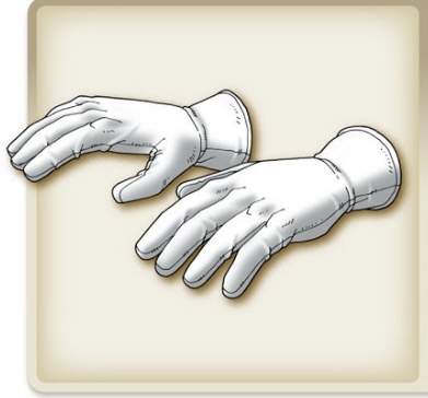 File:Cotton gloves.jpg