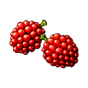 Buzzberries xi icon.png