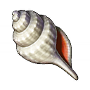 ICON-Sun-bleached seashell XI.png