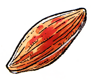 File:DQIII Seed of Strength.png