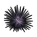Scruffy urchin xi icon.png