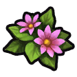 File:Coralily icon.png