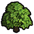 File:Plumberry tree icon.png