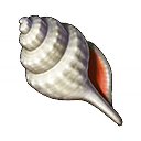 Sun bleached seashell xi icon.png