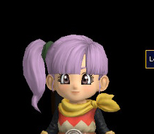 File:DQB2 Customization Lopsided Ponytail.jpg