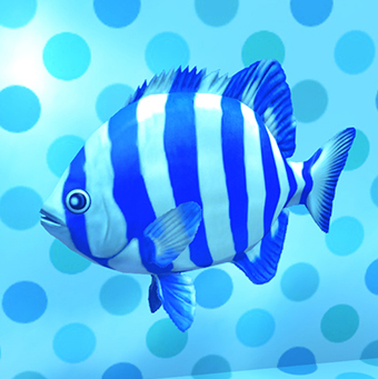 File:Striped Beakfish.jpg