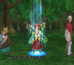 DQ8-PS2-Crack.gif