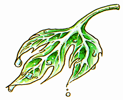 File:DQII Leaf of the World Tree.png