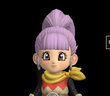 DQB2 Customization Pretty Ponytail.jpg