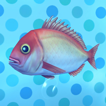 File:DQB2 DLC Red Snapper.jpg