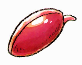 File:Seed of Stamina art.png