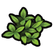 Grass icon.png