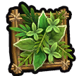 Framed foliage icon b2.png