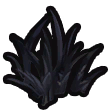File:Shadowgrass icon.png