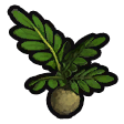 Palm seedling icon.png