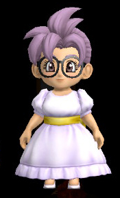 DQB2 Customization Girl Trobadour's Togs.jpg