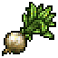 DQVIII Moonwort bulb.png