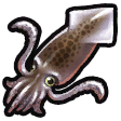 Squid icon.png