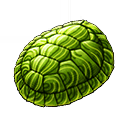 Tiny tortoise shell xi icon.png