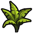 Fibrous fern icon.png