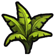 File:Fibrous fern icon.png