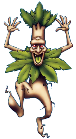 File:DQM2 HerbMan.png