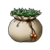 Antidotal herb xi icon.png