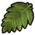 Fibrous frond