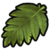 Fibrous frond icon.png