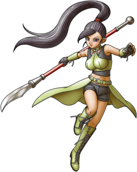 Fishnet stockings, Dragon Quest Wiki