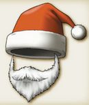 DQIX Santa’s hat.jpg