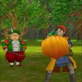 DQ VIII Android Royal Hunting Ground 7.jpg