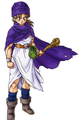 DQV Hero PS2.png