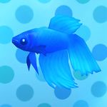 Blue Betta.jpg