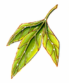 DQV Yggdrasil Leaf.png