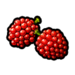 Buzzberries dqtr icon.png