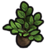 Plumberry seedling icon.png