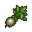 Moonwort bulb