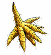 DQIV Feverfew Root.png