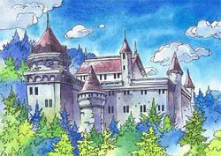 Prince of Cannock - Dragon Quest Wiki