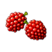 Buzzberries xi icon.png
